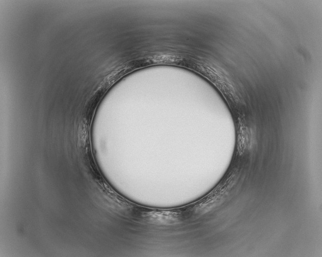 X0000115620367200912081028
