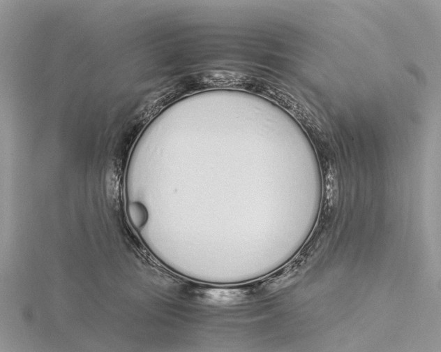 X0000115620371200912081028