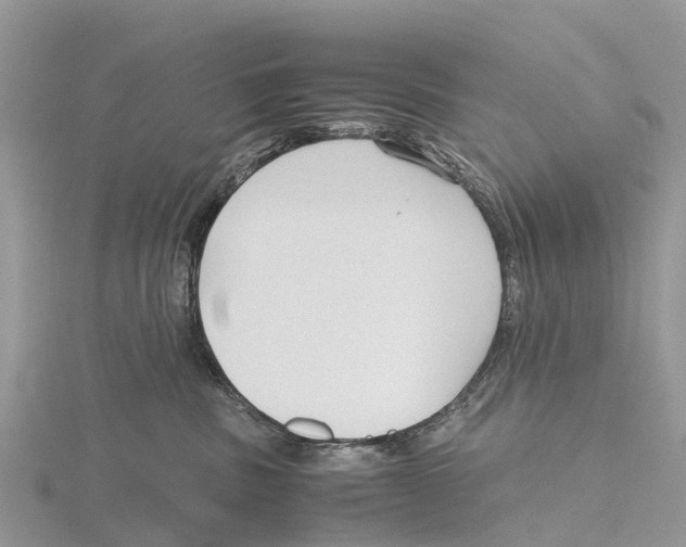 X0000115620379200912081028