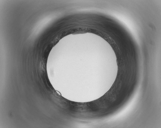 X0000115620382200912081028