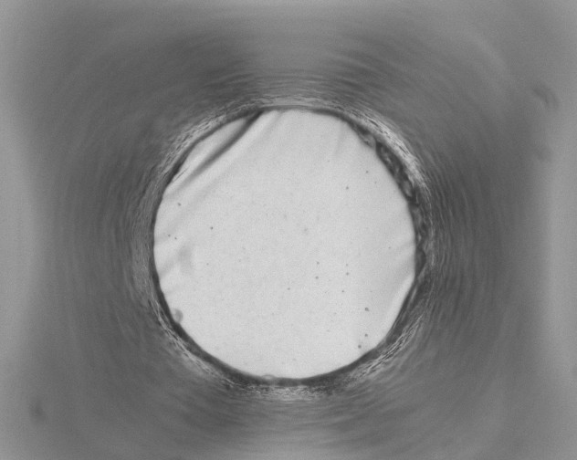 X0000115620385200912081027