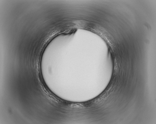 X0000115620386200912081027