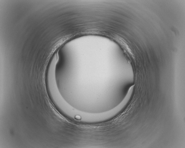 X0000115620389200912081027