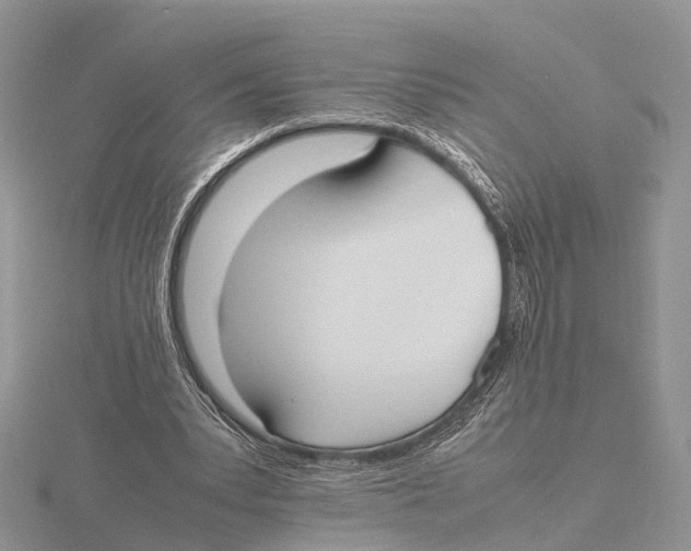 X0000115620391200912081027