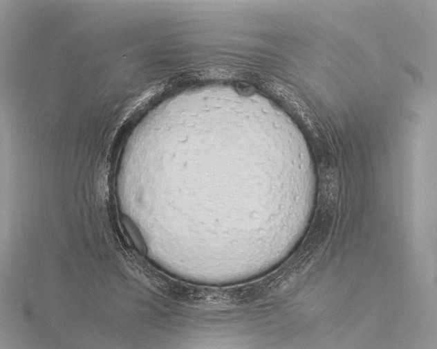 X0000115620395200912081027