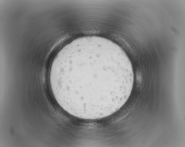 X0000115620396200912081027