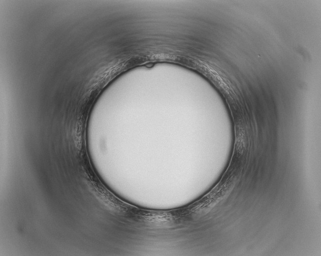 X0000115620402200912081027