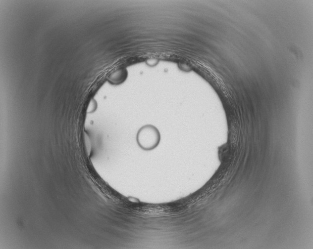 X0000115620405200912081027