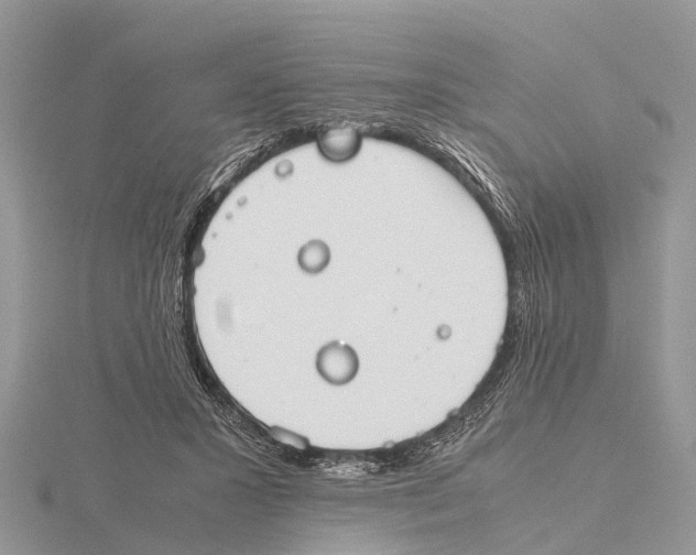 X0000115620407200912081027