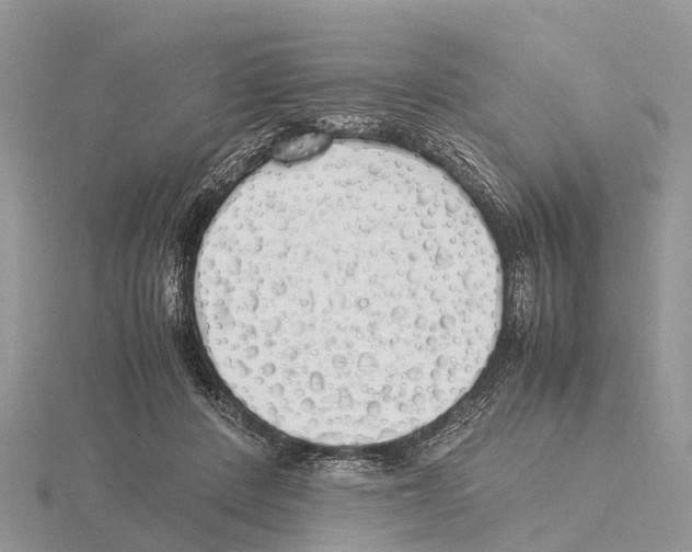 X0000115620408200912081027