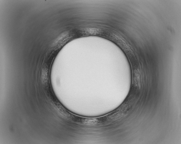 X0000115620410200912081027