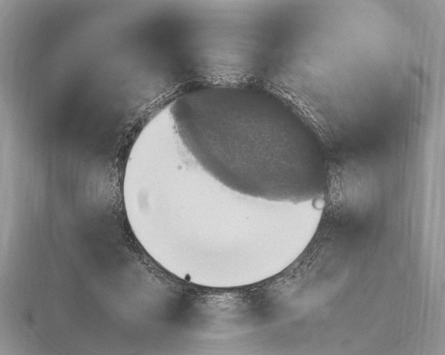 X0000115620411200912081027