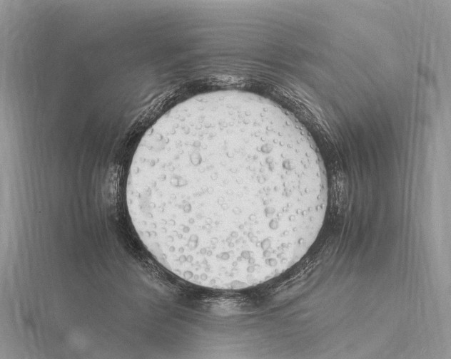 X0000115620412200912081027