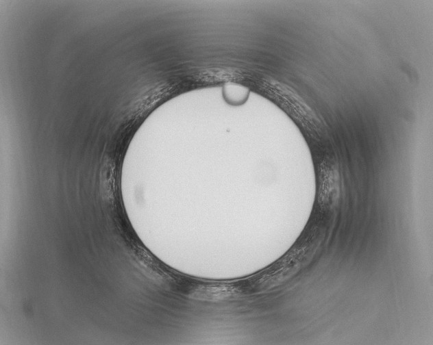 X0000115620414200912081027