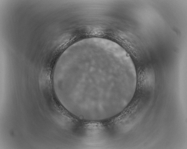 X0000115620415200912081027