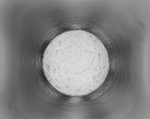 X0000115620418200912081027