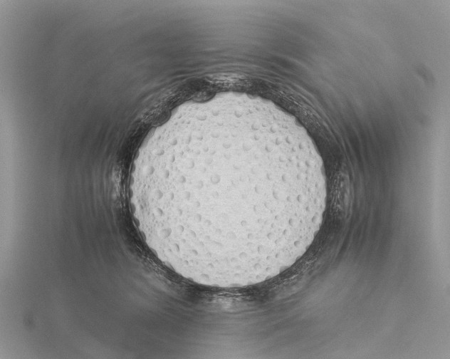 X0000115620420200912081027
