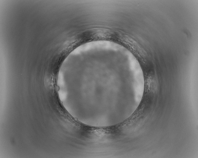 X0000115620423200912081027