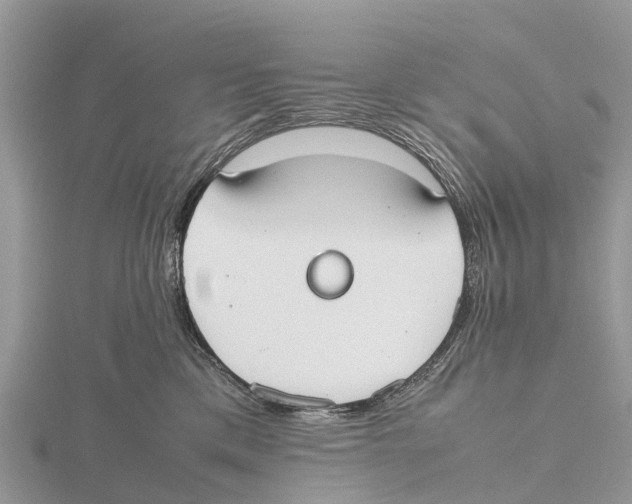X0000115620425200912081027