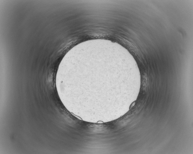 X0000115620428200912081027