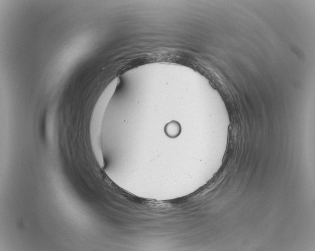 X0000115620429200912081027