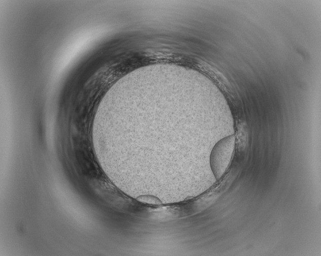X0000115620430200912081027