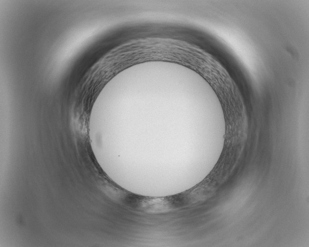 X0000115620431200912081027