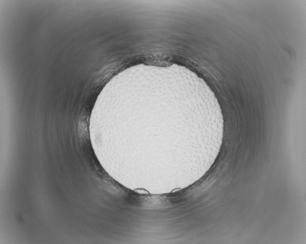 X0000115620432200912081027