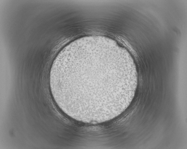 X0000115620433200912081026