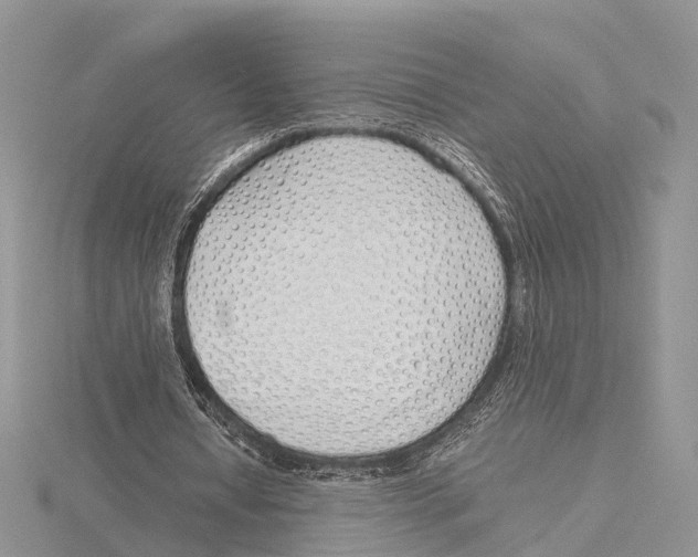 X0000115620434200912081026