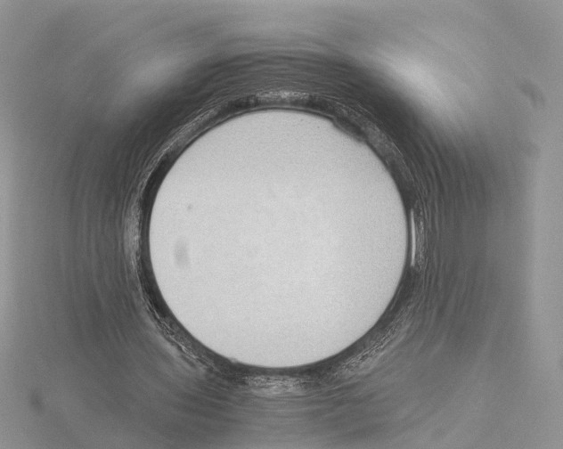 X0000115620435200912081026