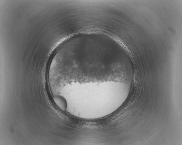 X0000115620438200912081026