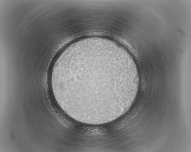 X0000115620439200912081026