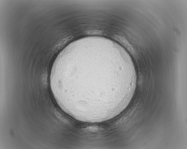 X0000115620441200912081026