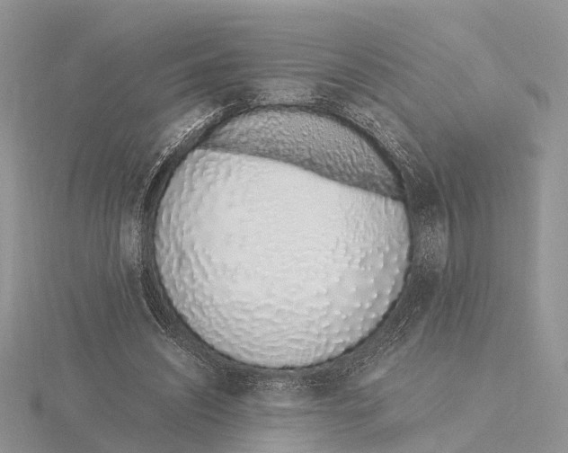 X0000115620444200912081026