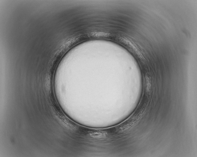 X0000115620447200912081026