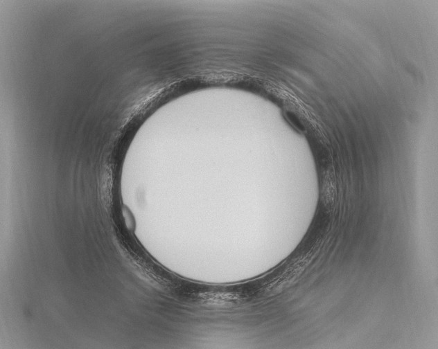 X0000115620448200912081026