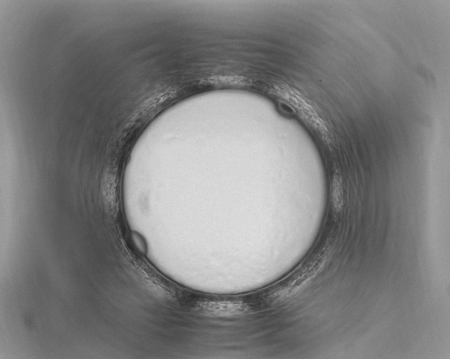 X0000115620449200912081026