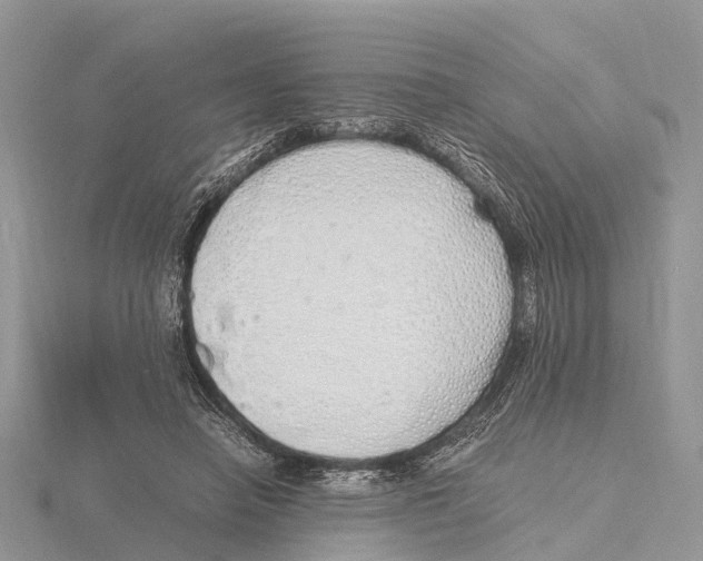 X0000115620450200912081026