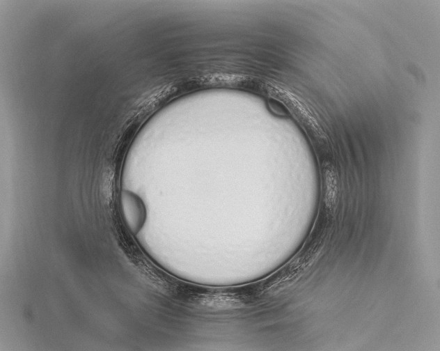X0000115620451200912081026