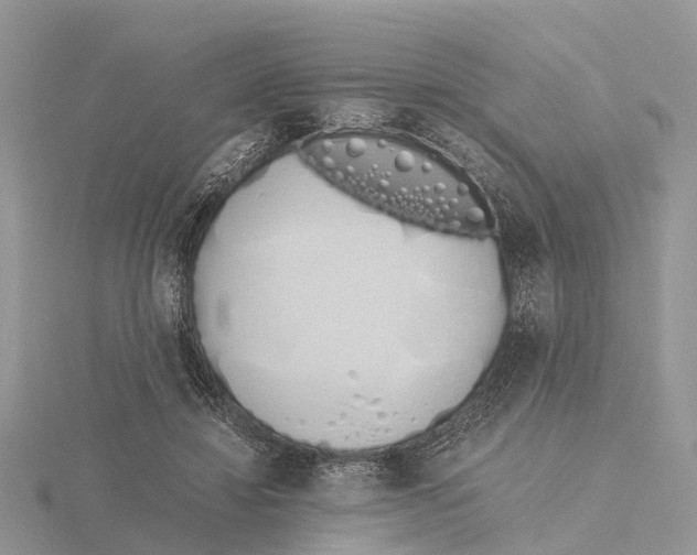 X0000115620452200912081026