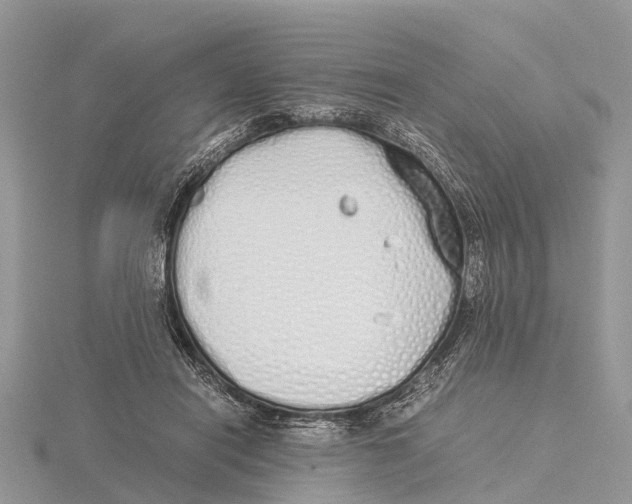 X0000115620454200912081026