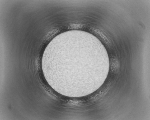 X0000115620455200912081026