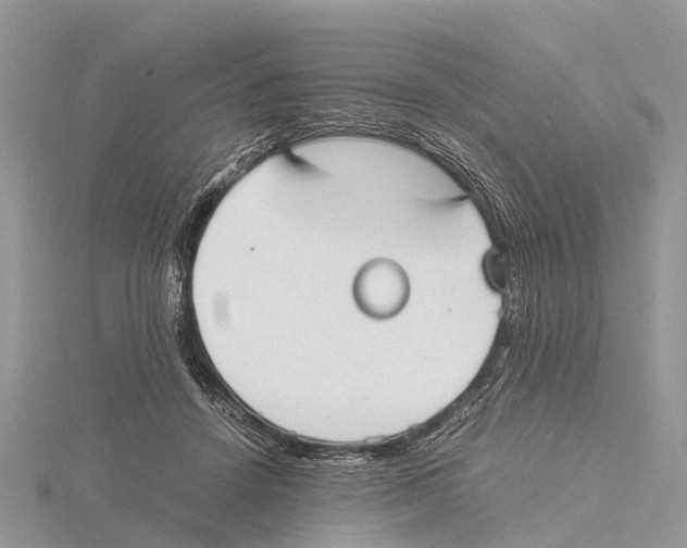 X0000115620456200912081026