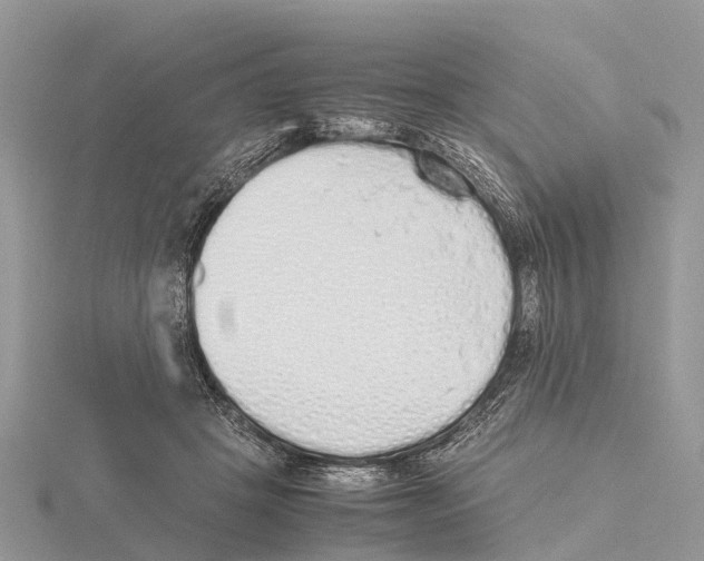 X0000115620457200912081026