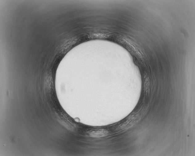 X0000115620459200912081027