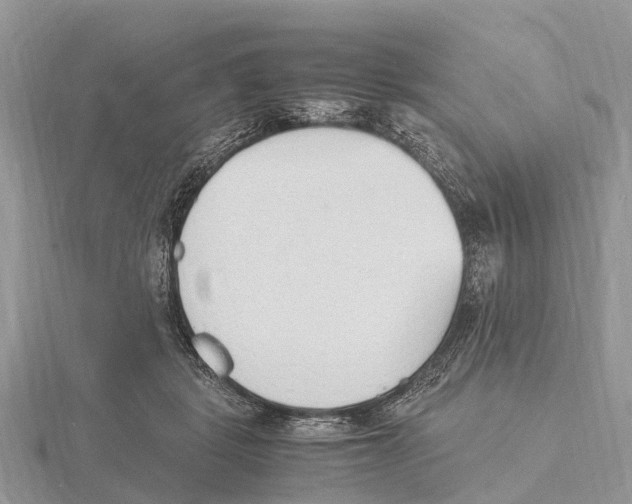 X0000115620461200912081027