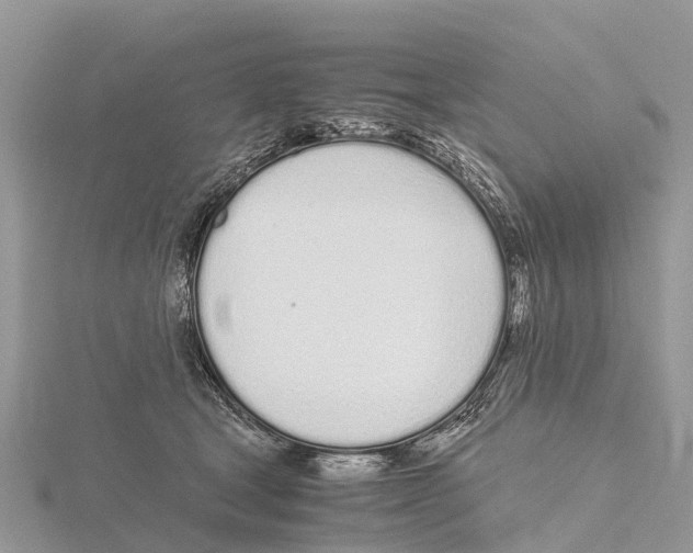 X0000115620465200912081027