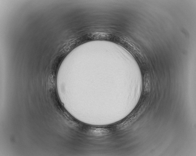 X0000115620467200912081027