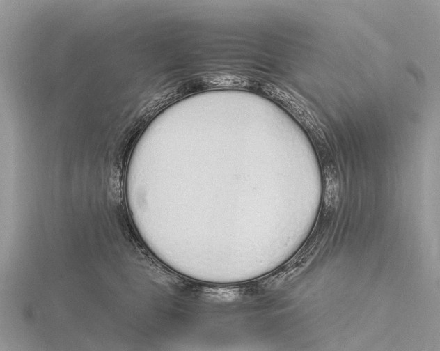 X0000115620469200912081027
